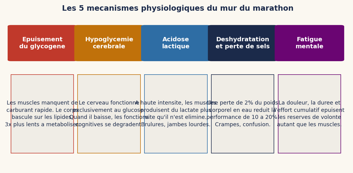 Les 5 mécanismes physiologiques du mur du marathon