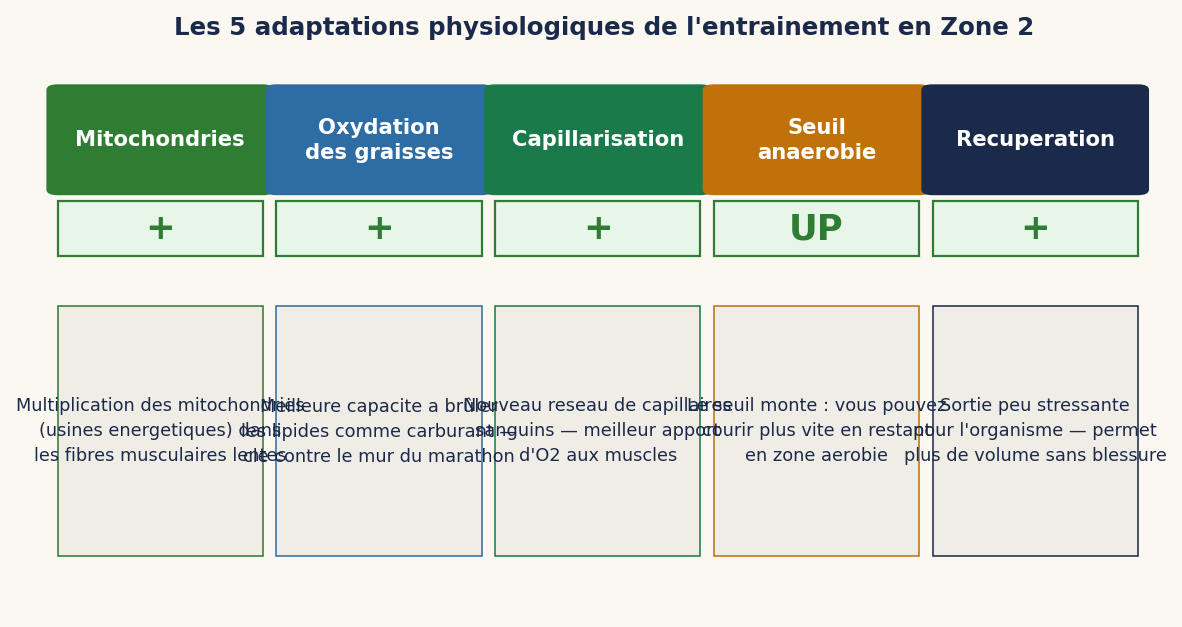 Les 5 adaptations physiologiques de l'entraînement en Zone 2