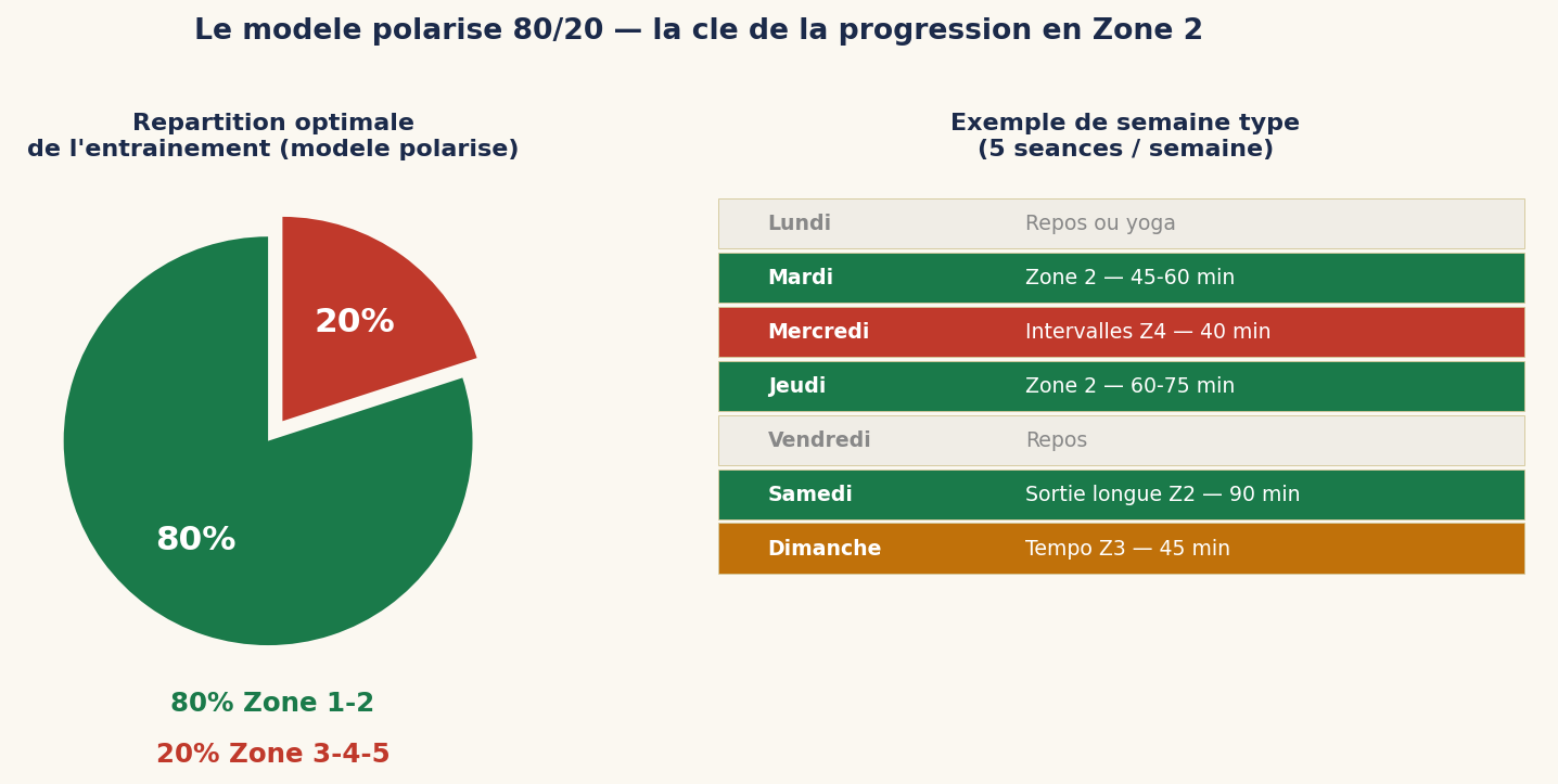 Le modèle polarisé 80/20 — la clé de la progression en Zone 2